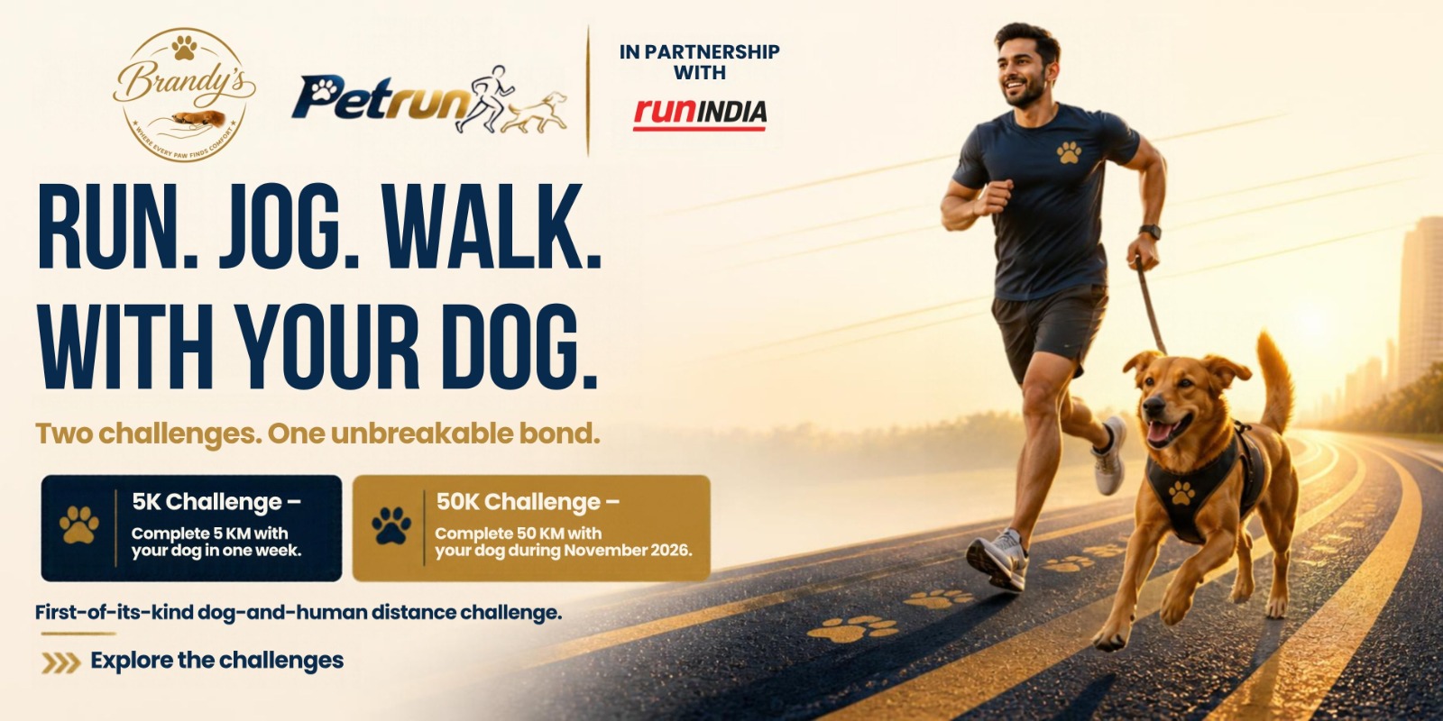 Runner and dog on a sunlit paw-print running track
