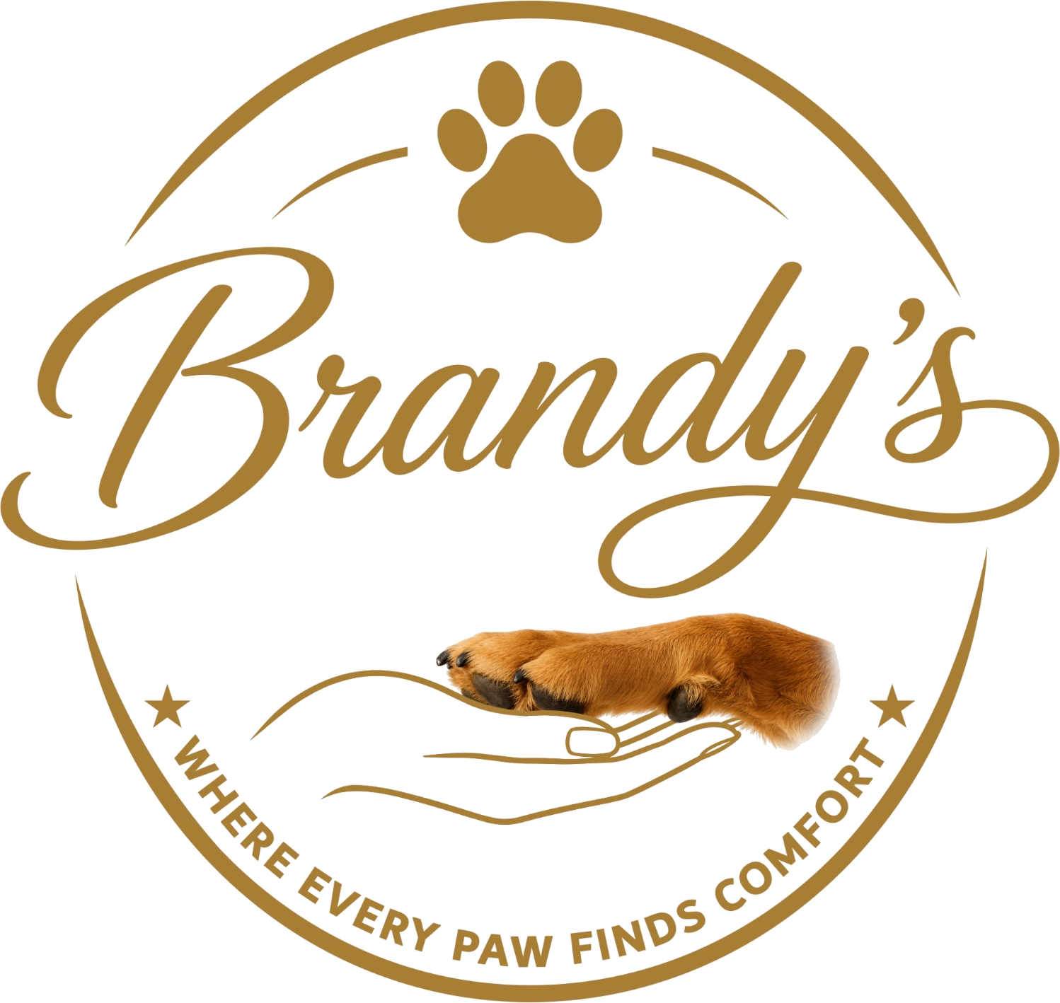 Brandy’s